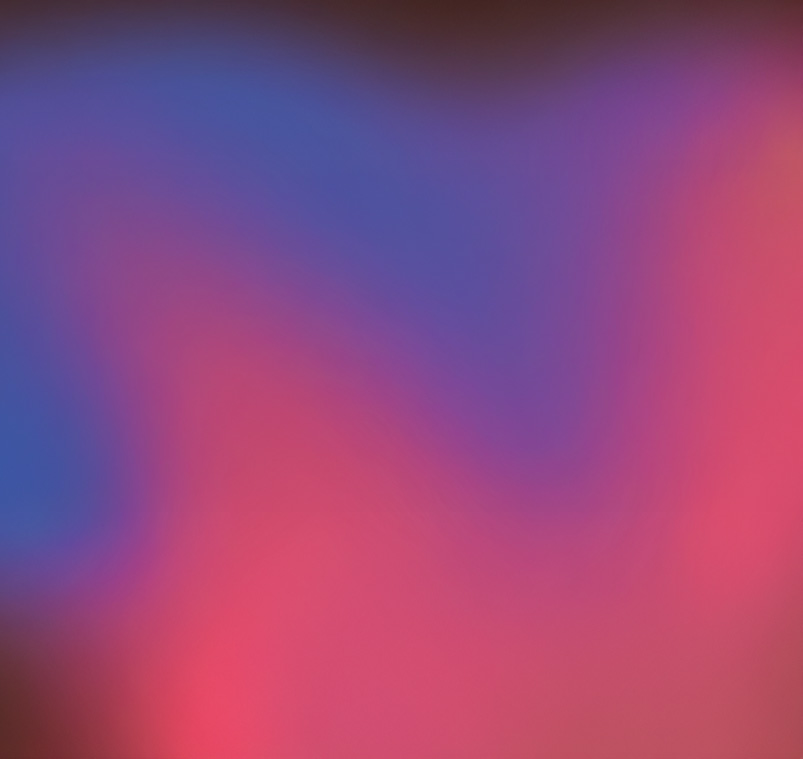 THE LANGUAGE OF HATE